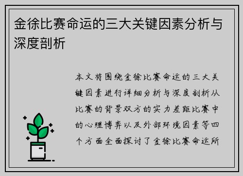 金徐比赛命运的三大关键因素分析与深度剖析 金徐比赛命运的三大关键因素分析与深度剖析