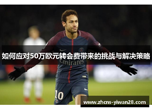 如何应对50万欧元转会费带来的挑战与解决策略